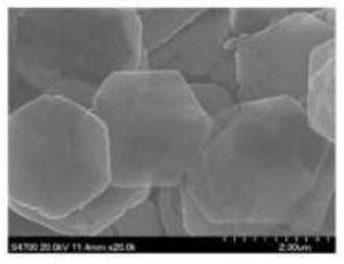 Catalyst for treating organic wastewater and preparation method thereof