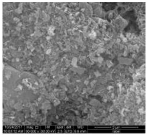 Catalyst for treating organic wastewater and preparation method thereof