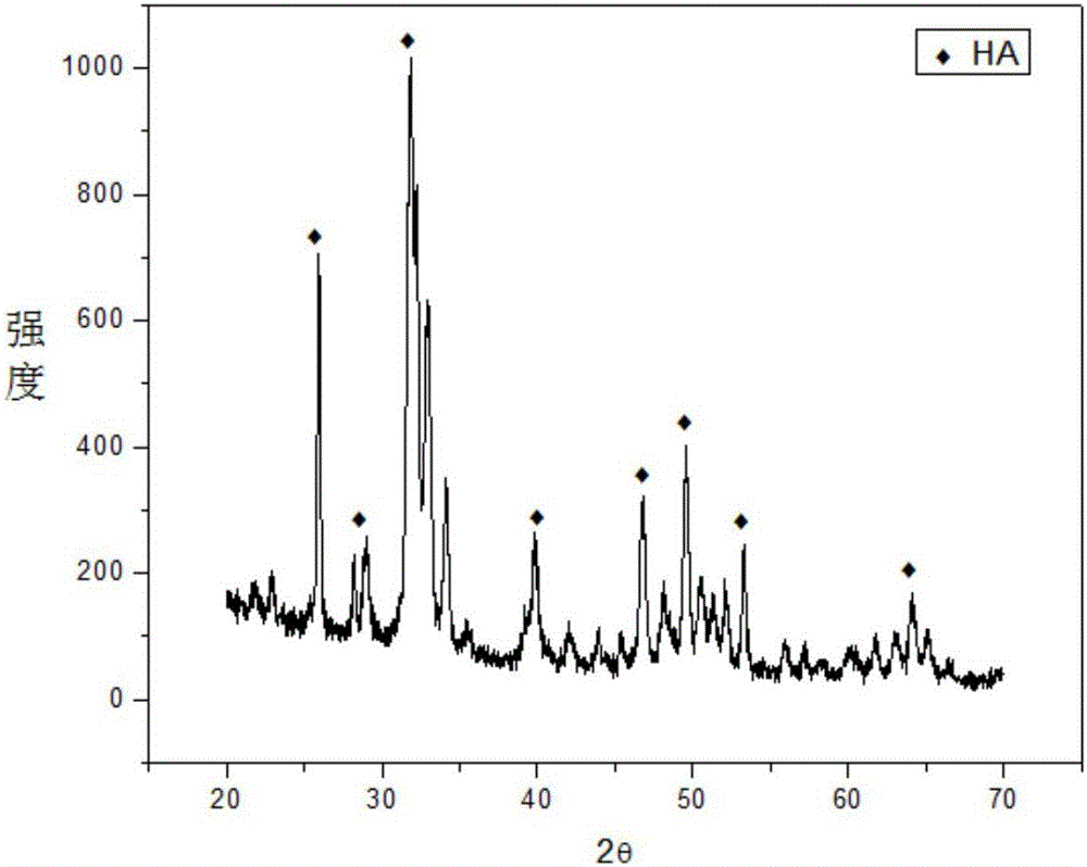 Method for preparing hydroxyapatite nano rod by adopting hydrothermal method