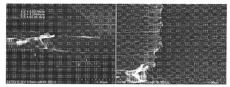 Etchant composition for the formation of a metal line