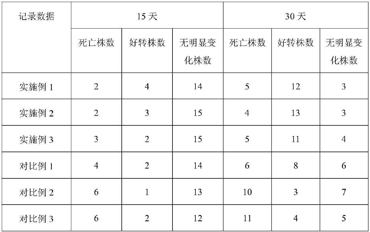 Special-purpose organic-inorganic ecological fertilizer for alleviating root rot and seedling death of tea as well as preparation method thereof