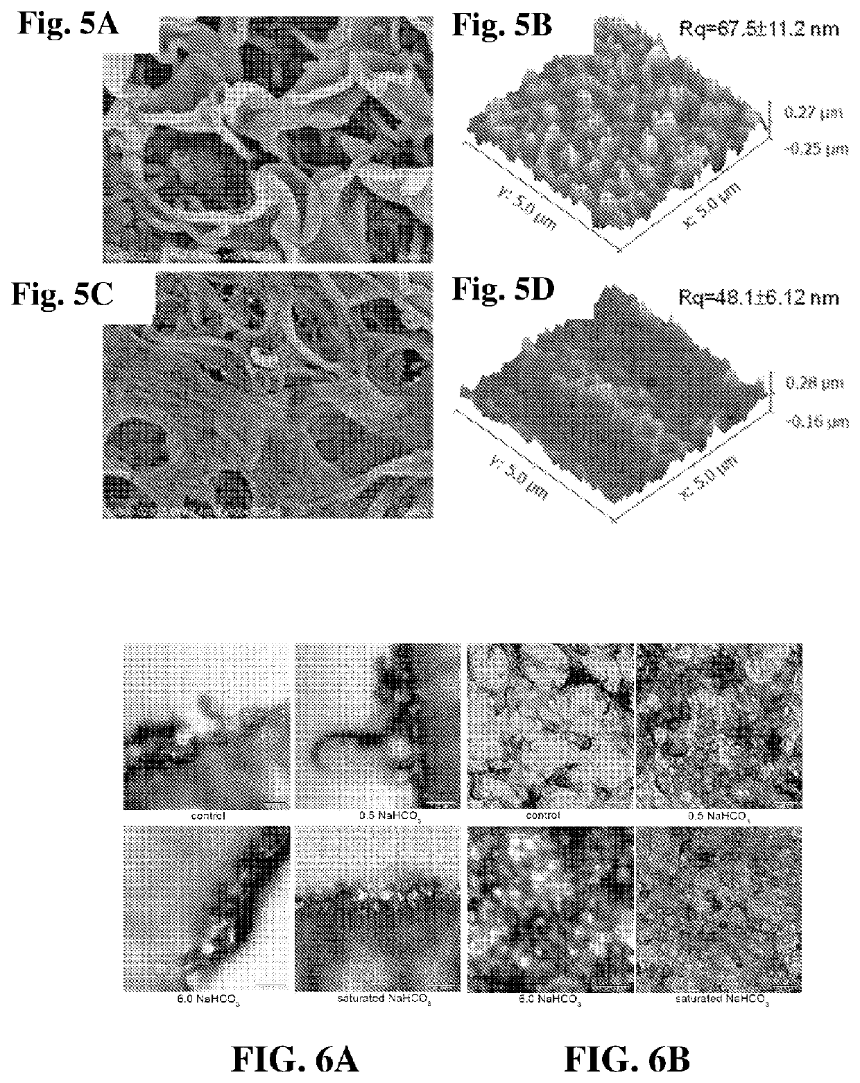 Thin Film Composite Membrane with Nano-sized Bubbles Having Enhanced Membrane Permeability, Preparation Methods and Uses Thereof