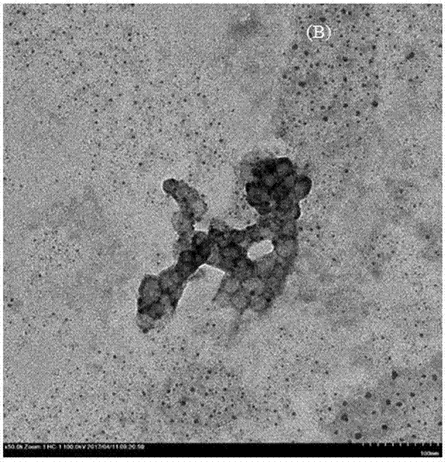 Antibacterial crosslinked nanoparticles and preparation method thereof