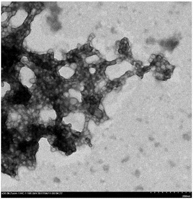 Antibacterial crosslinked nanoparticles and preparation method thereof