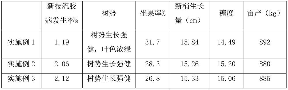 A fertilization method for improving peach orchard soil and improving yellow peach tree vigor and yield