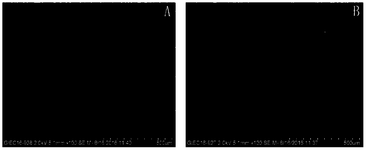 Preparation method and application of waste bacteria stick carbon anode