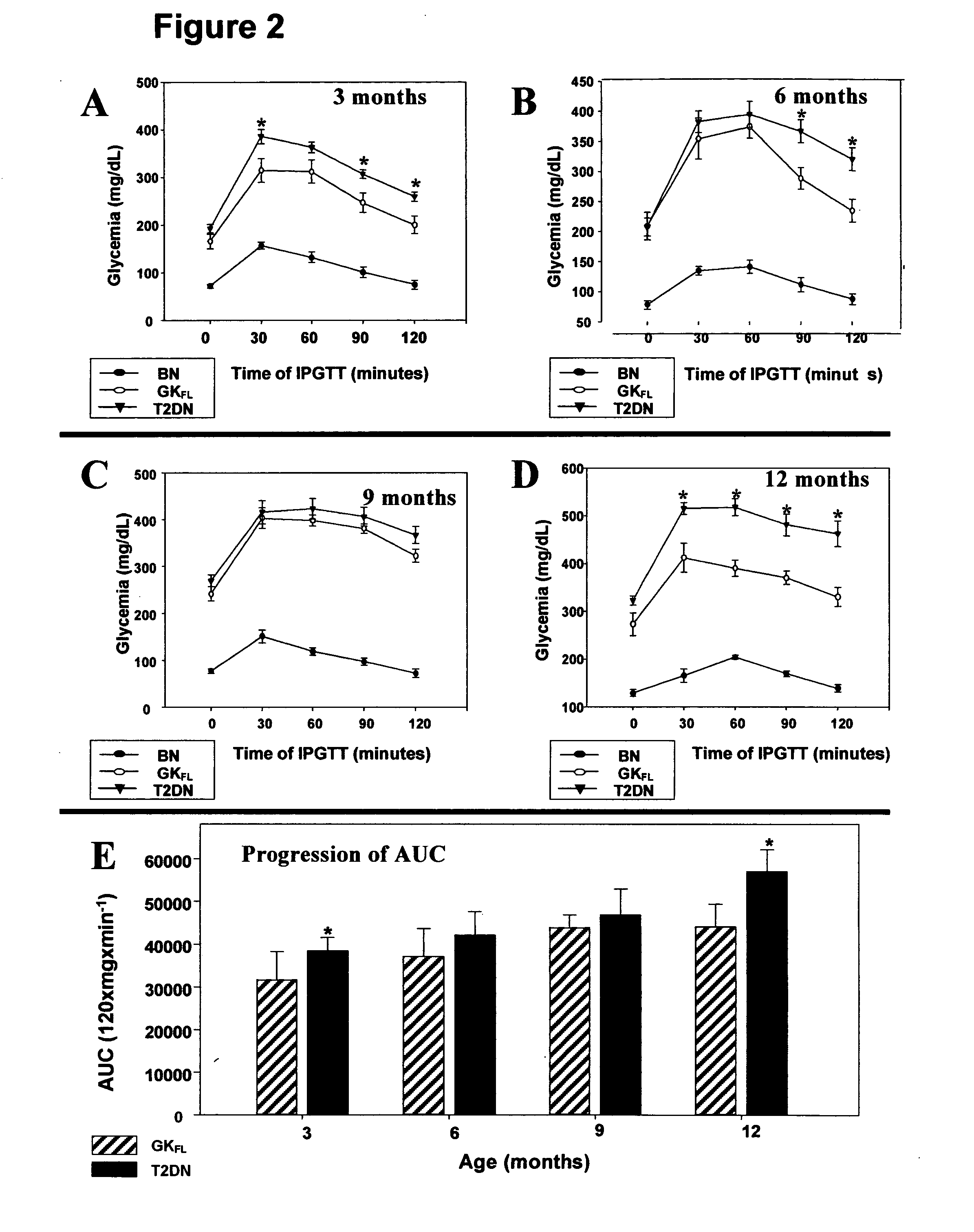 Rat model of diabetic nephropathy