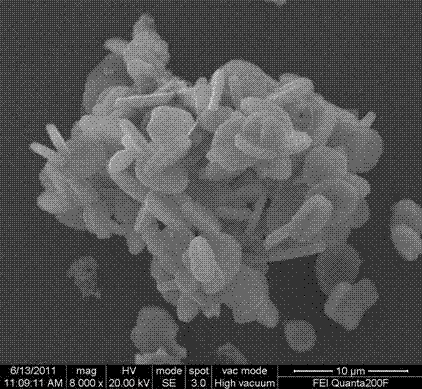 Preparation method of flaky aluminate green phosphor