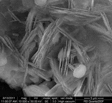 Preparation method of flaky aluminate green phosphor