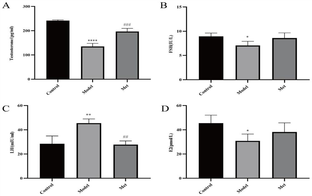 Application of metformin in preparation of medicine for treating testicular function decline