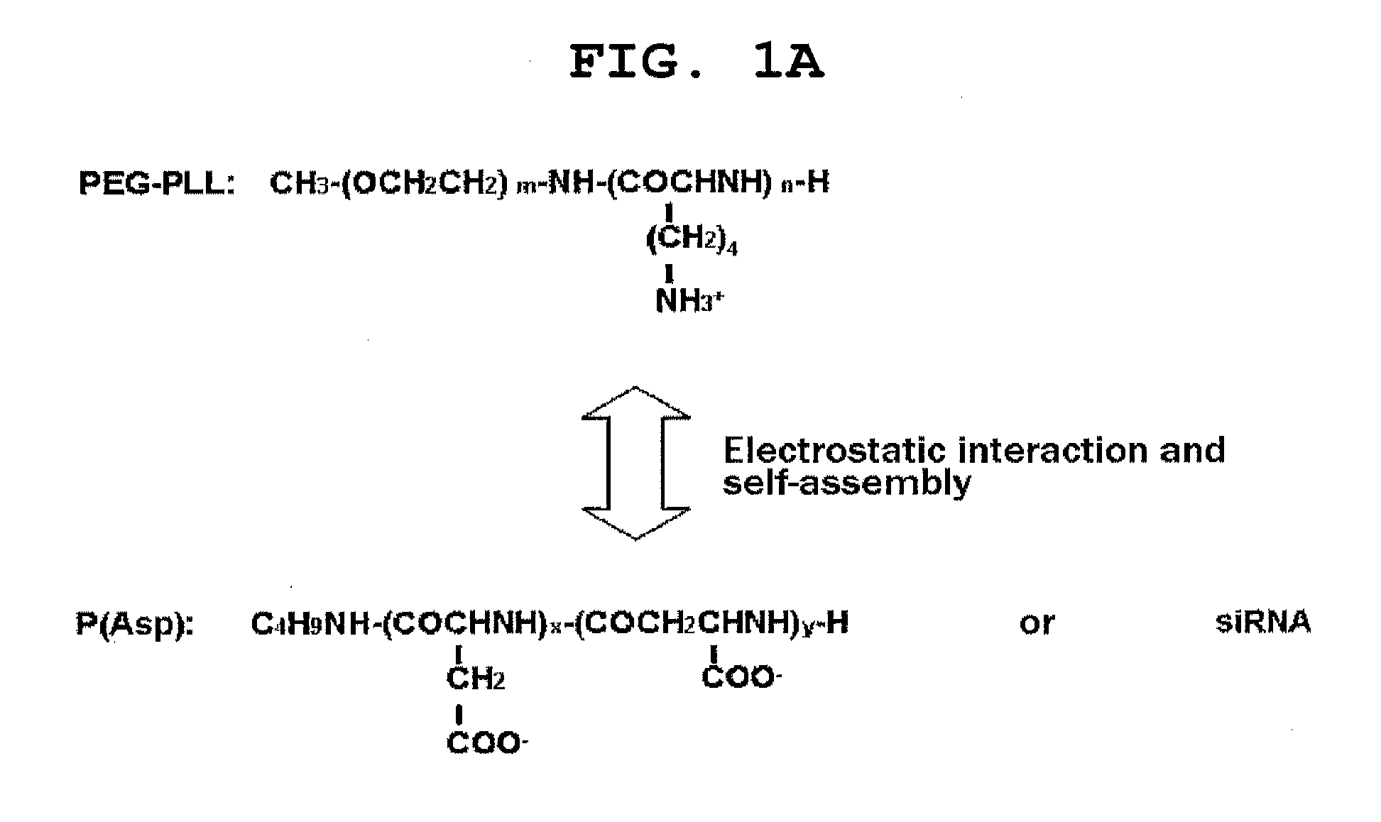 Polyion complex of double-stranded ribonucleic acid