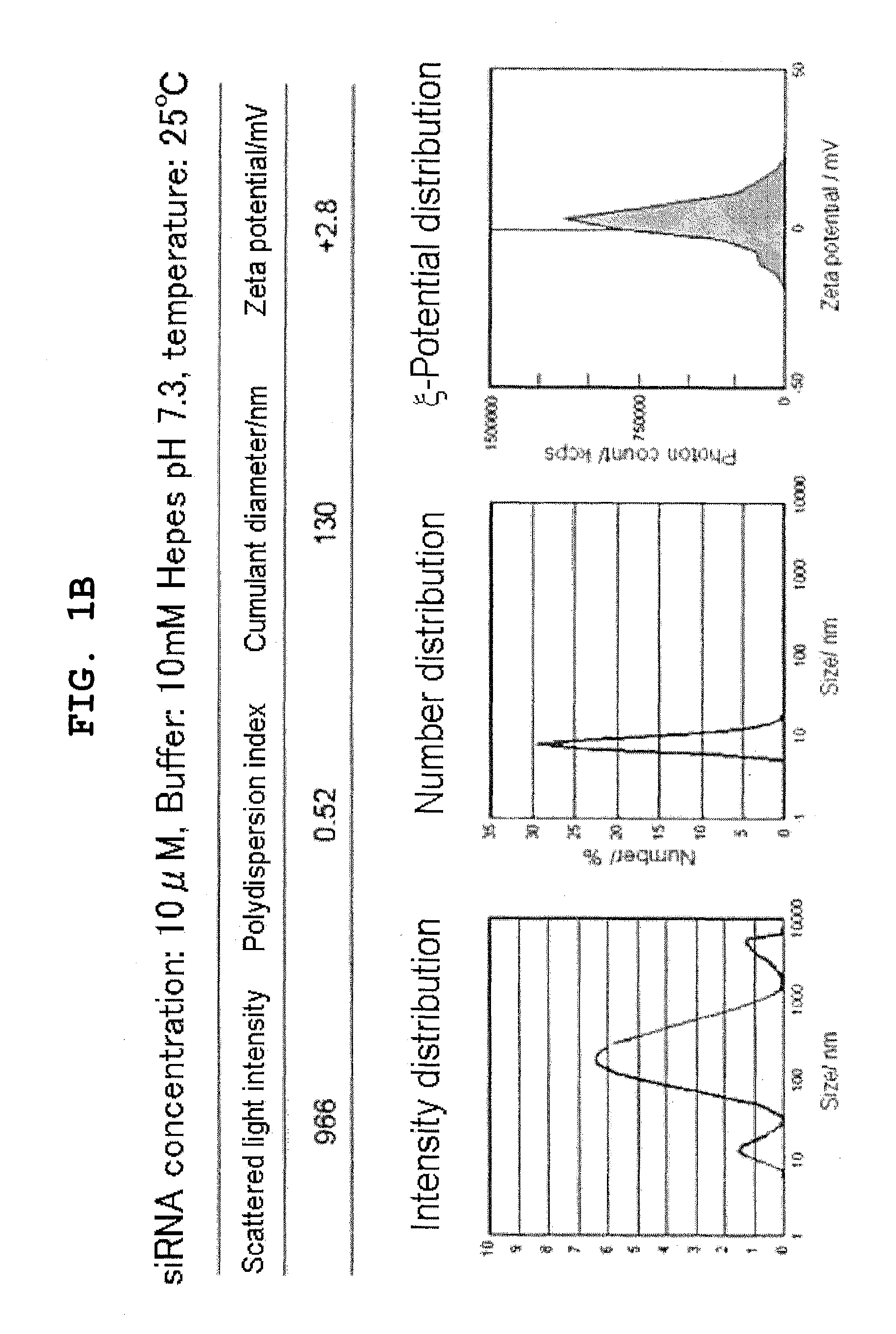 Polyion complex of double-stranded ribonucleic acid