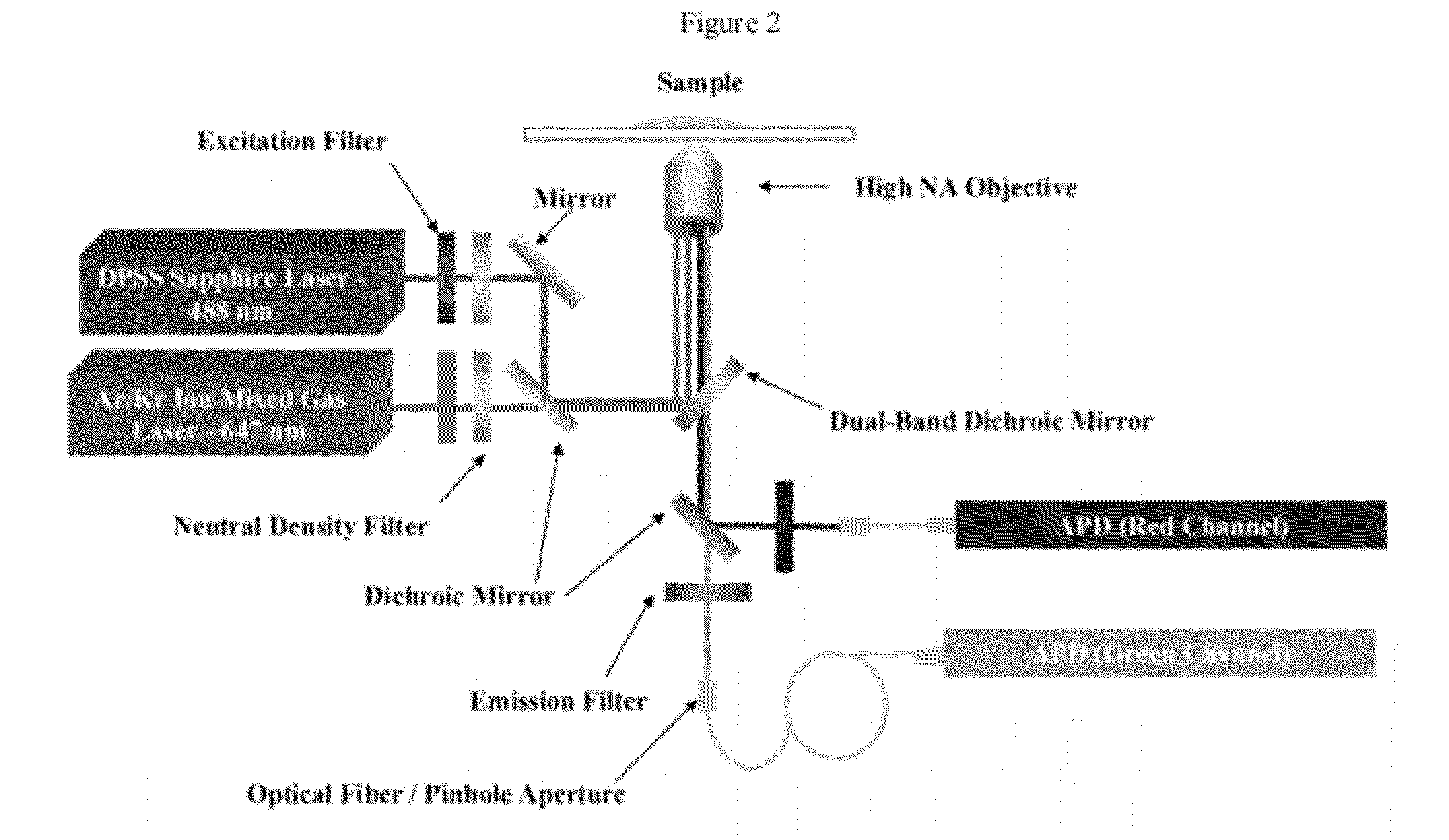 Device and methods for epigenetic analysis