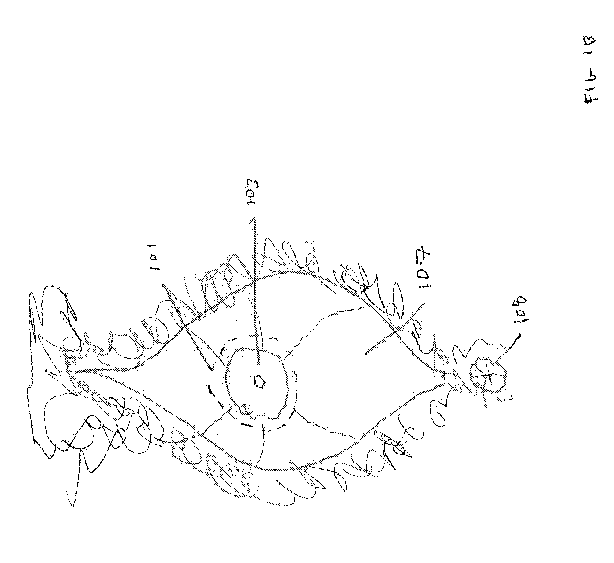 Fornix manipulator