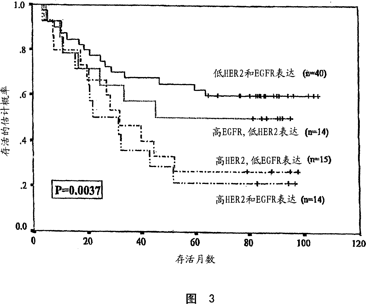 Method of determining epidermal growth factor receptor and HER2-Neu gene expression and correlation of levels thereof with survival rates