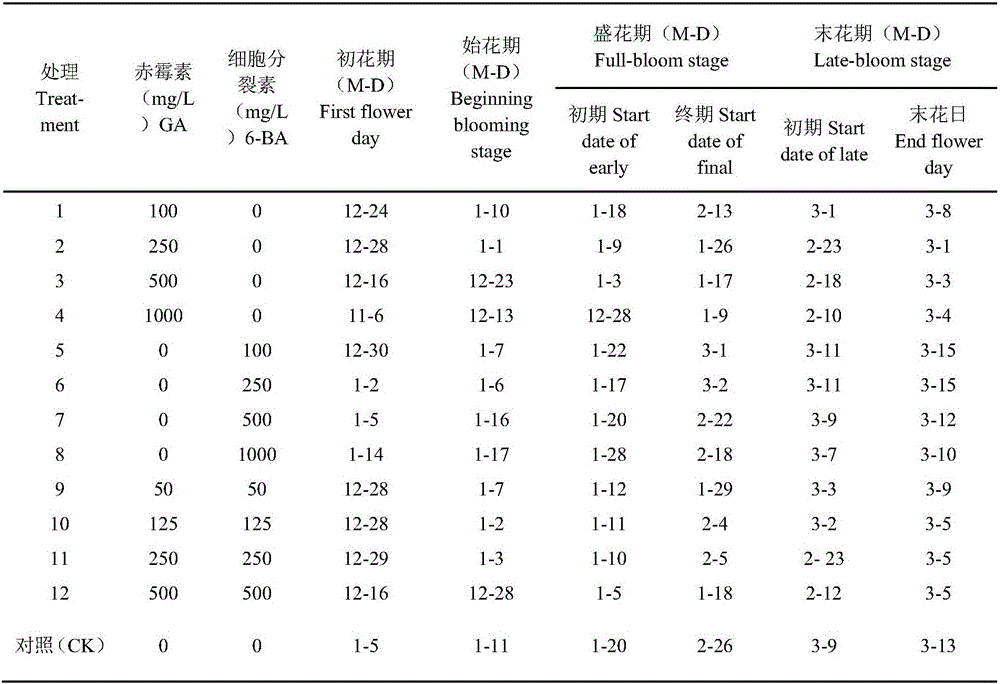 Method using exogenous hormone to regulate and control high fragrance camellia flowering phase and bloom quality