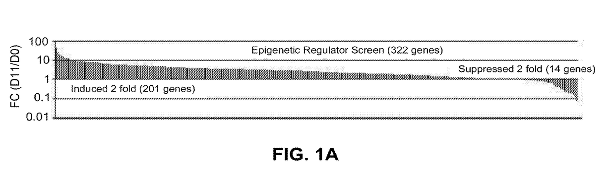 Methods and materials for promoting bone formation