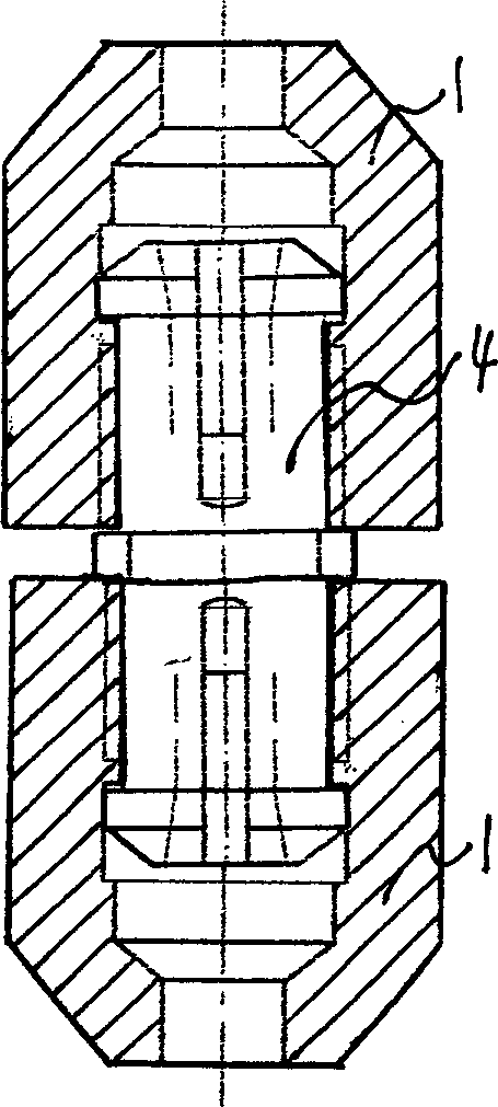 Double-end expansion hanging pile connecting fastener and prefab