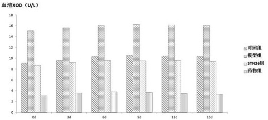 A kind of Streptococcus thermophilus stn26, bacterial powder and application in uric acid lowering product