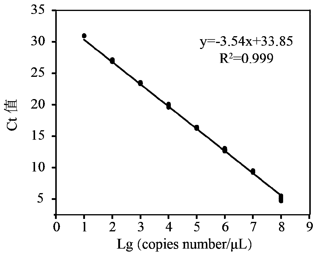 Absolute quantification method for bacterial flora and application of absolute quantification method in Chinese liquor fermentation process