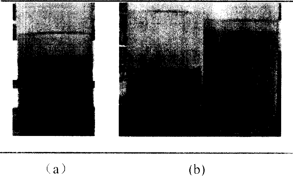 Coupling process for preparing intermediate of semi-synthetic Cephalosperin antibiotics from penicillin fermentation liquid