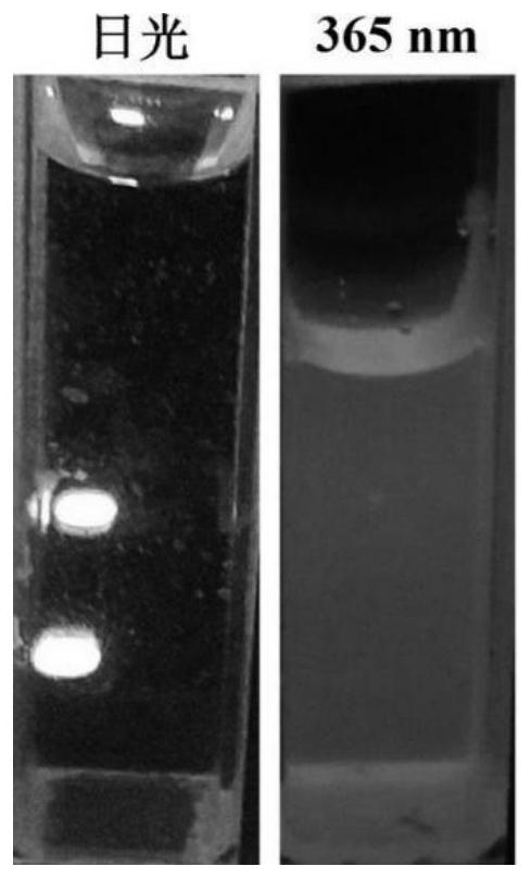 Preparation method of polyvinylpyrrolidone-copper nanoclusters, product and application