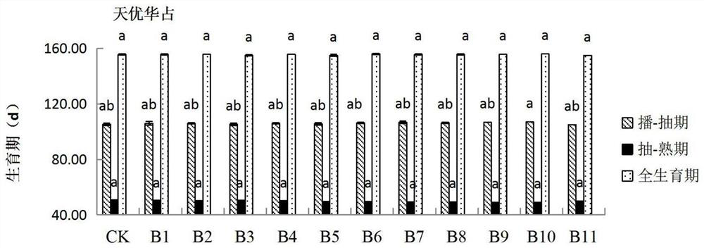 Functional fertilizer for hybrid rice cultivation and use method thereof