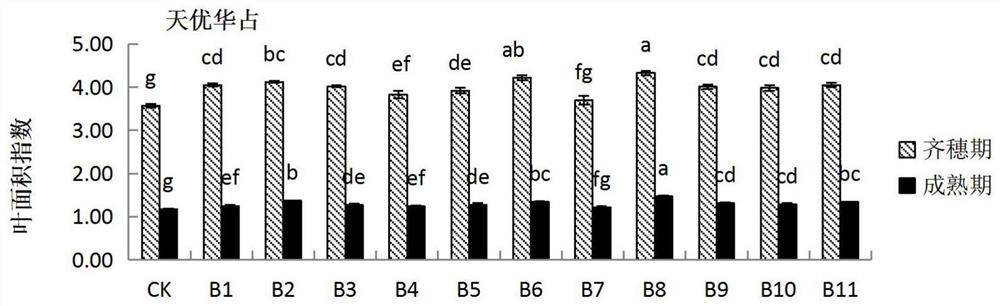 Functional fertilizer for hybrid rice cultivation and use method thereof