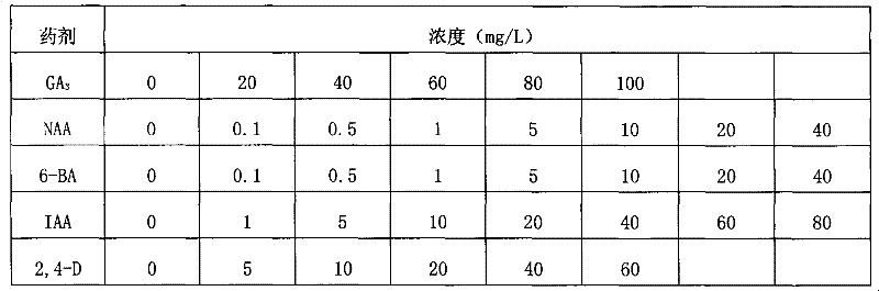 Culture medium for improving germination and growth of Luntai white apricot blossom pollen