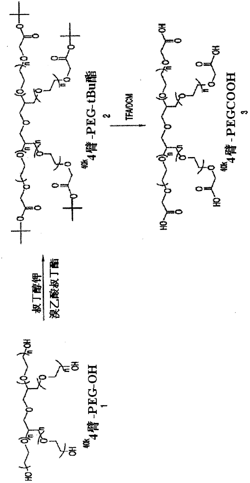 Methods for inhibiting angiogenesis with multi-arm polymeric conjugates of 7-ethyl-10-hydroxycamptothecin