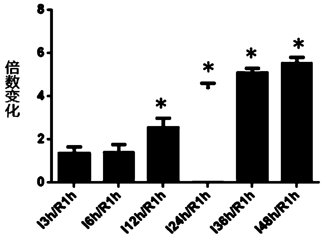 Application of linarin to preparing kidney tubular epithedial cell ischemia reperfusion injury protecting drugs/drug combinations