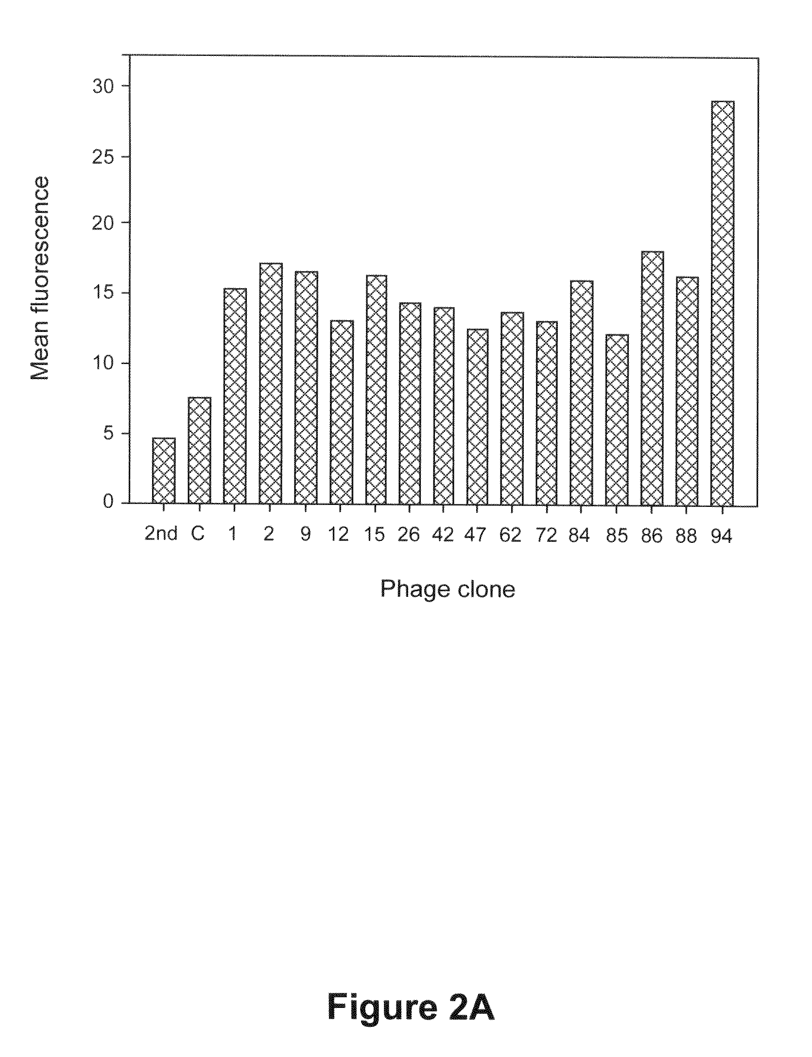 Peptides specific for hepatocellular carcinoma cells and applications thereof