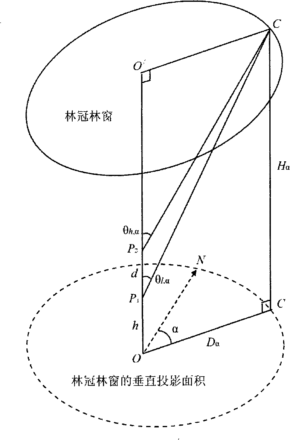 Method for measuring three-dimensional structure of forest gap