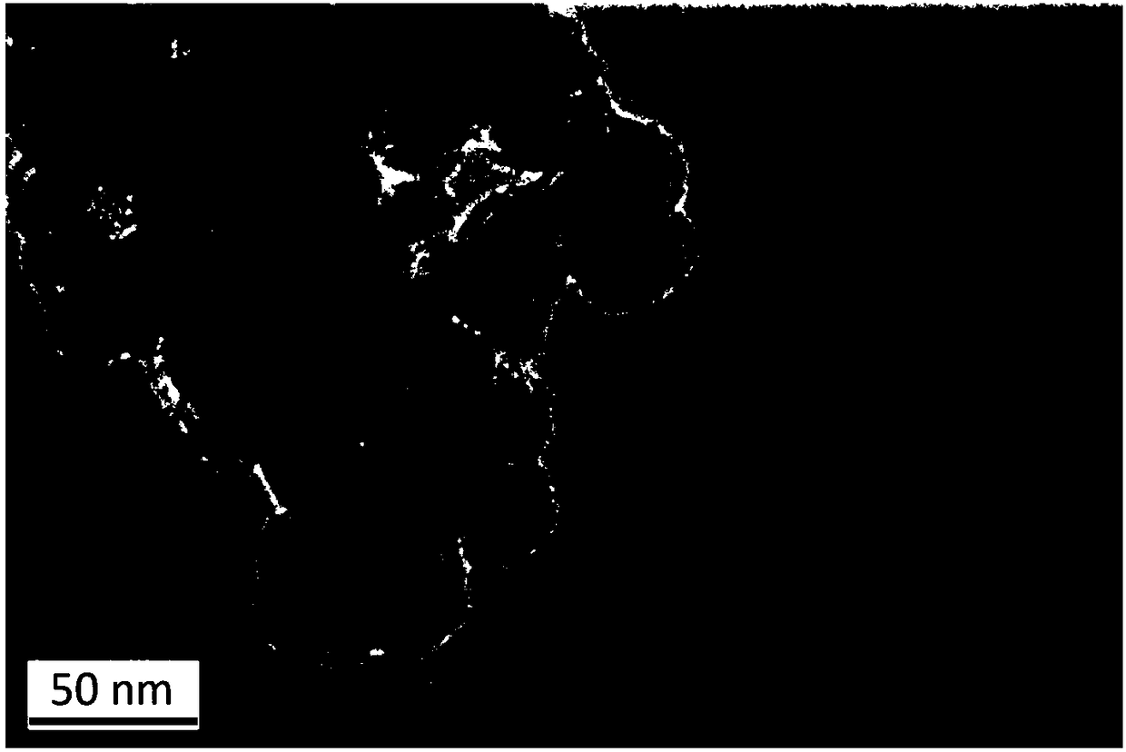 Dealkalized endonuclease magnetic molecular imprinting nano-particles as well as preparation method and application thereof