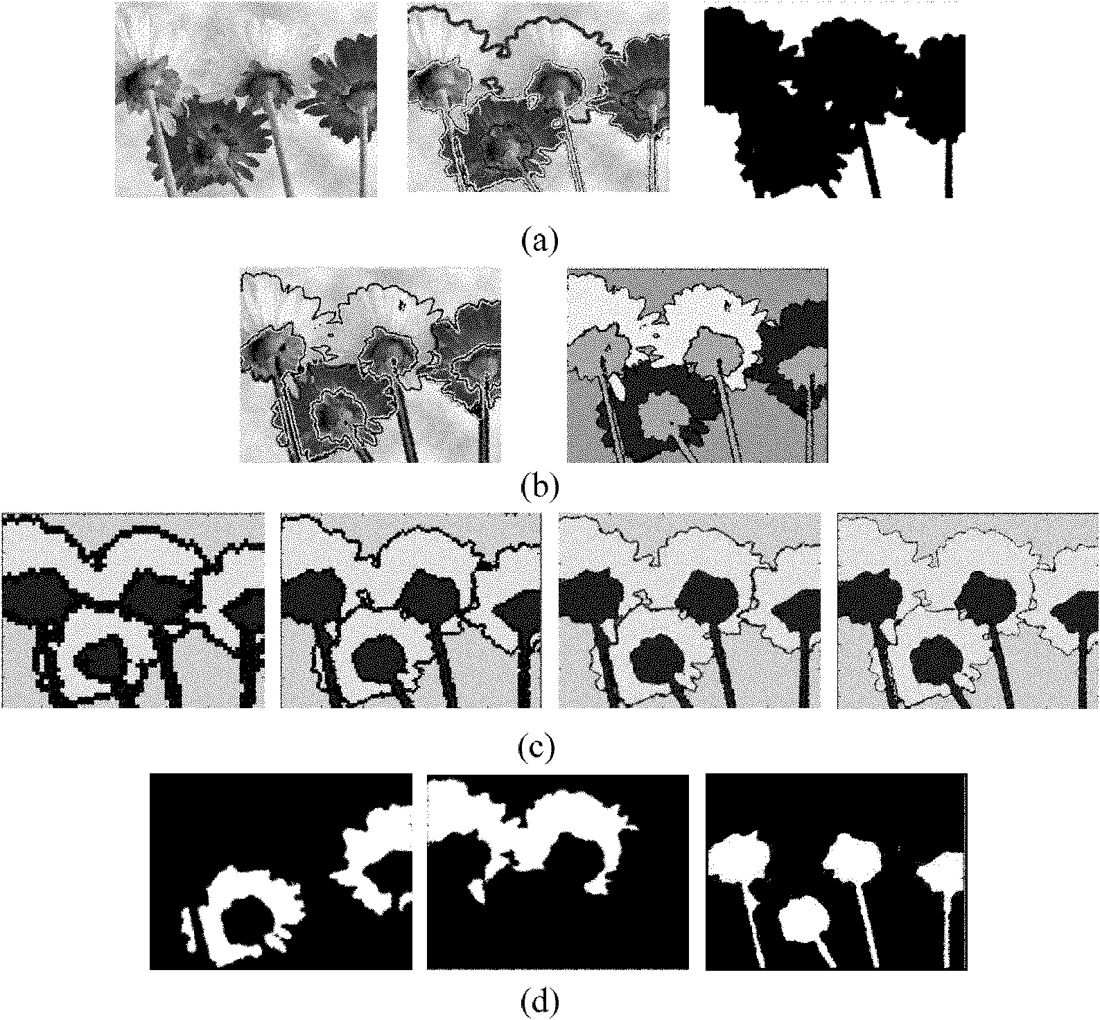 Multiresolution and multiregion variational level set image segmentation method