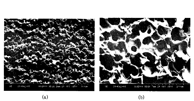 A kind of preparation method of hydrophilic polymer microporous filter material