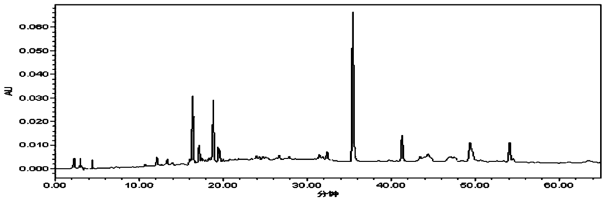 Herba tripterospermi, honeysuckle and fructus forsythiae detoxifying and inflammation diminishing composition for treating cold, pneumonia, enteritis and nephritis