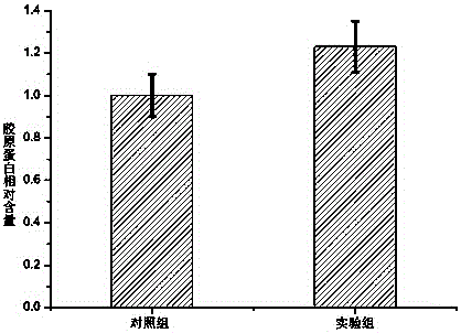 Injection for correcting skin folds and preparation method thereof