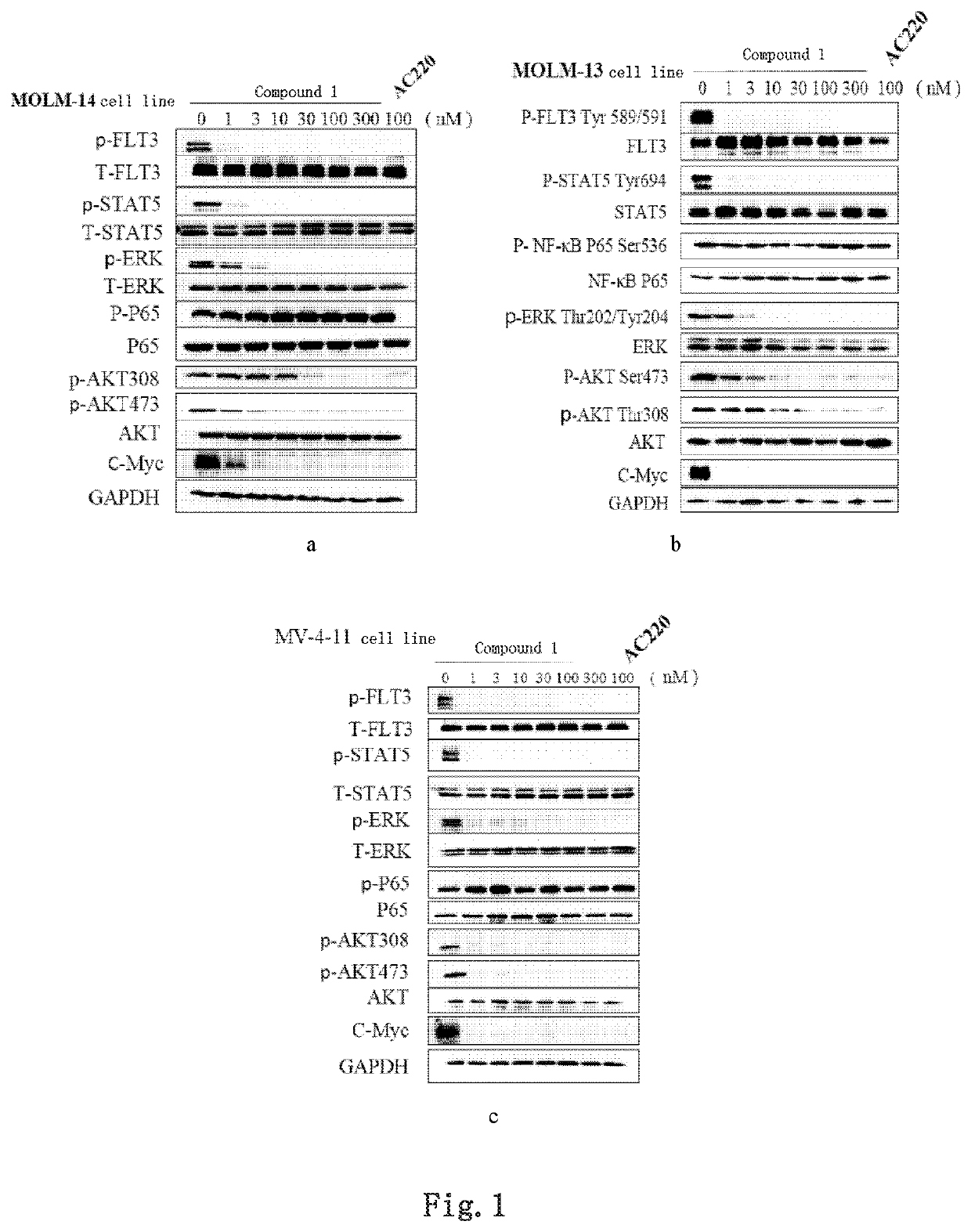 Novel inhibitor of flt3 kinase and use thereof