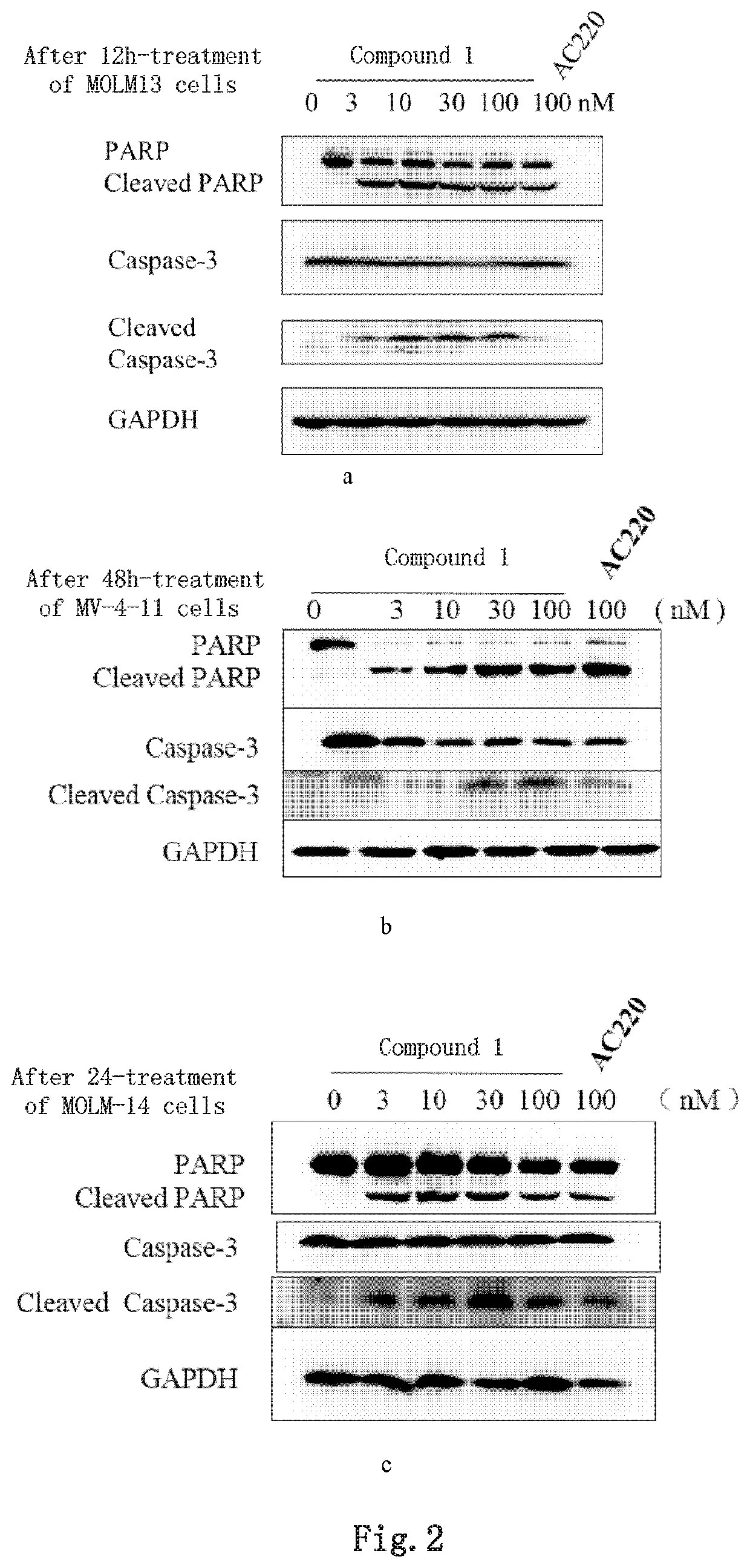 Novel inhibitor of flt3 kinase and use thereof