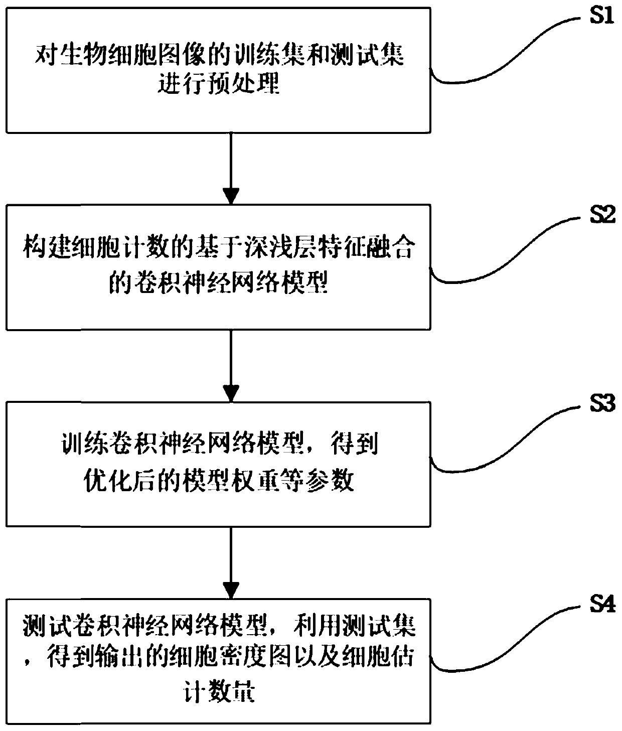 Biological cell counting method based on convolutional neural network and feature fusion