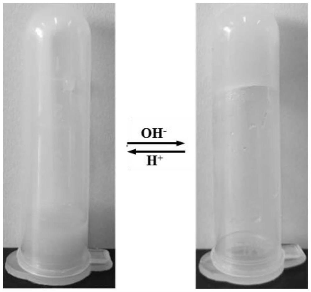 PH self-adjusting double-response hydrogel as well as synthesis method and application thereof