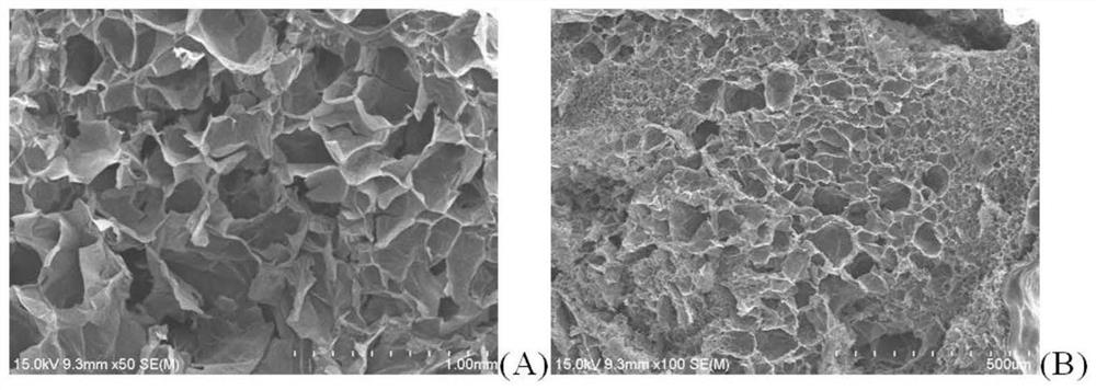 PH self-adjusting double-response hydrogel as well as synthesis method and application thereof