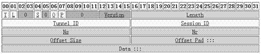 VPN tunnel protocol implementation method