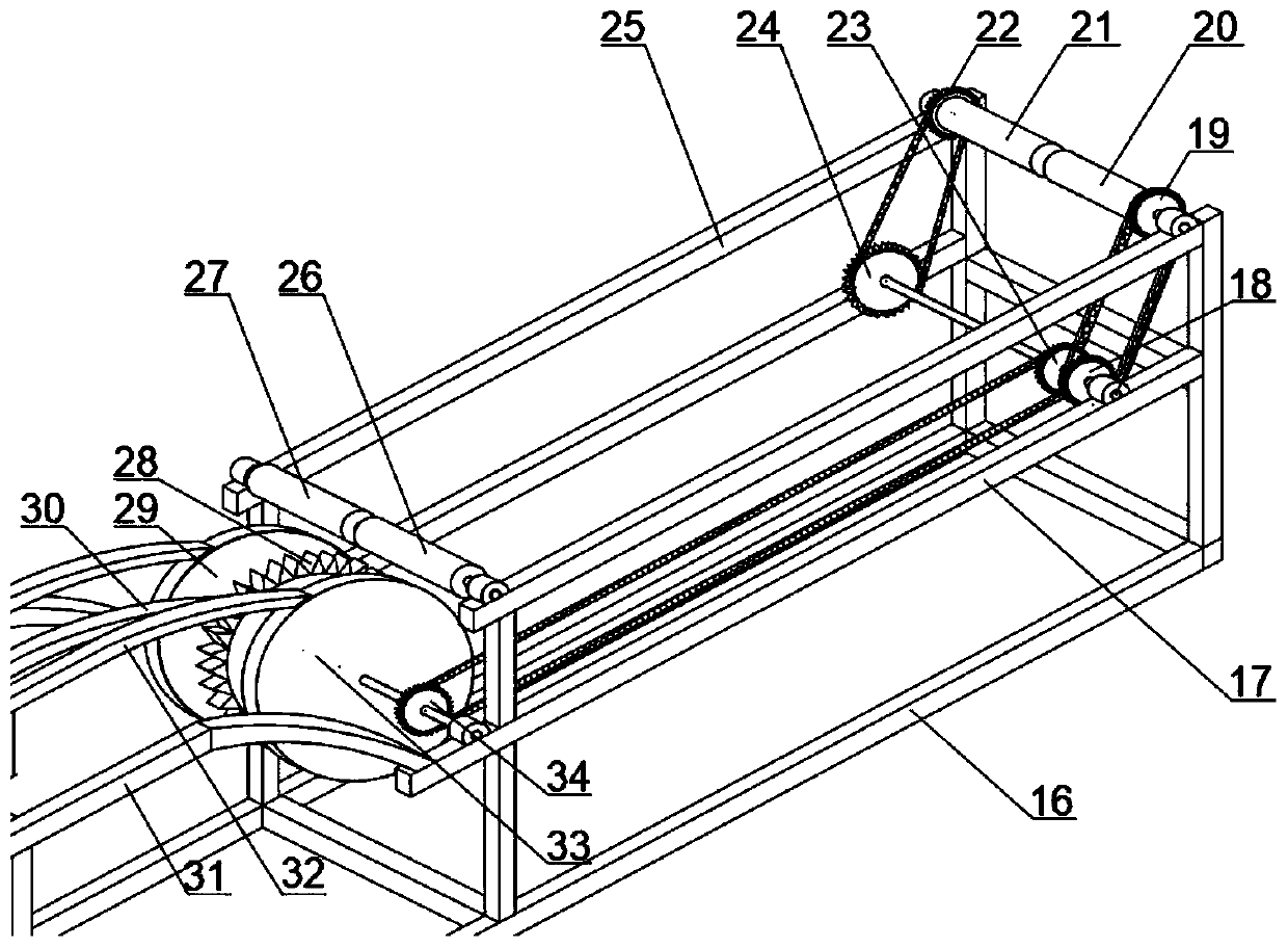 Full-automatic weighing type fruit sorting device