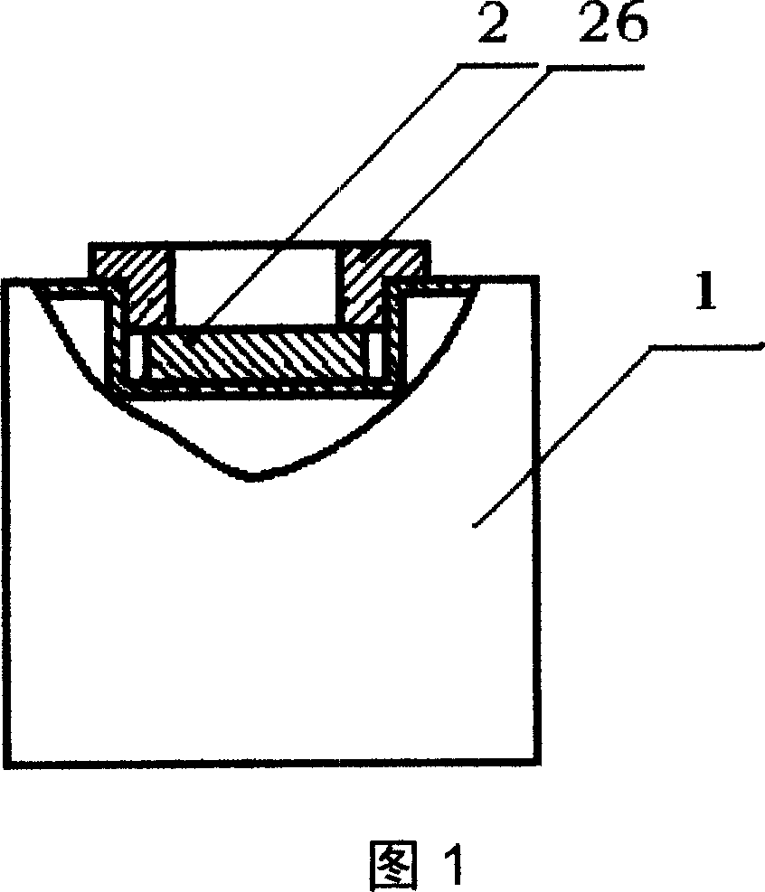 Ultrasonic atomizing method and ultrasonic atomizing device