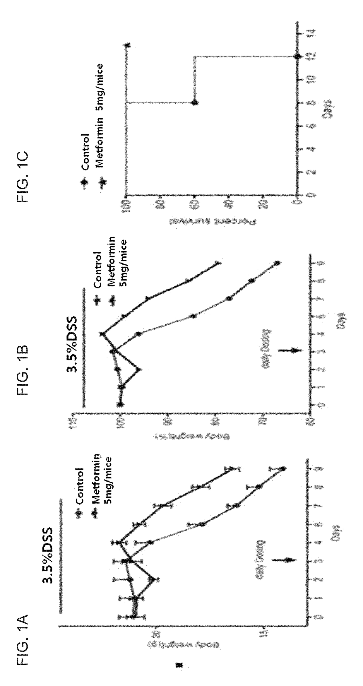 Composition comprising metformin as active ingredient for preventing or treating inflammatory bowel disease