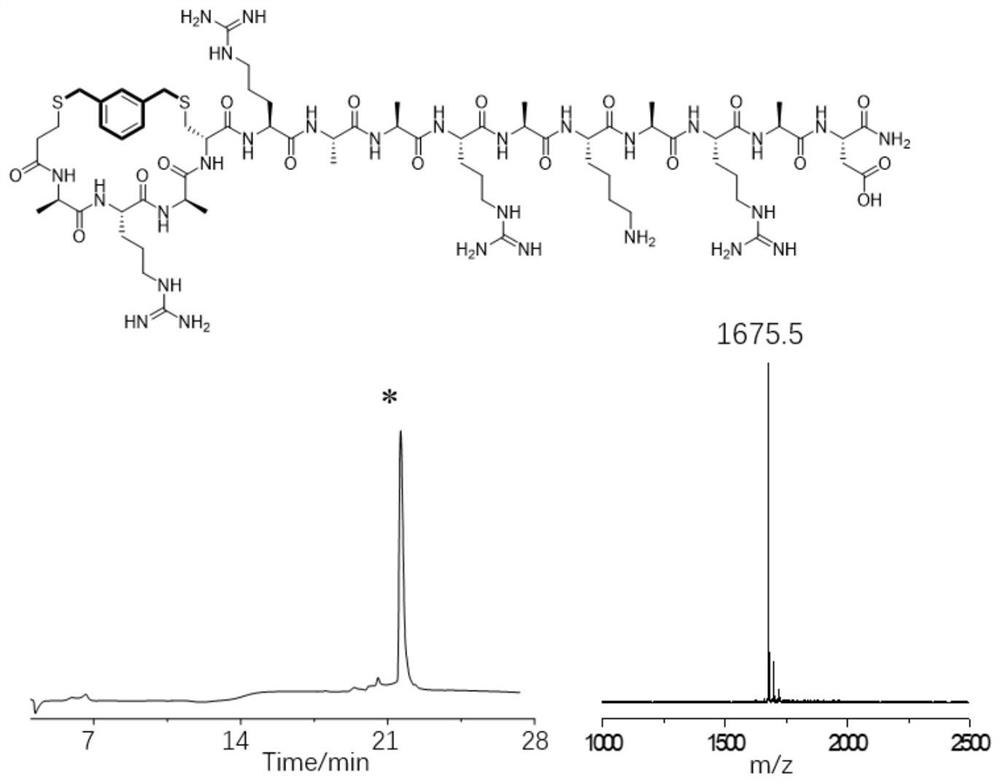 Polypeptide helical conformation stabilizing method