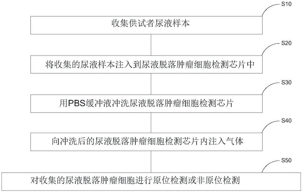 Detection chip of urine exfoliated tumor cells and application thereof