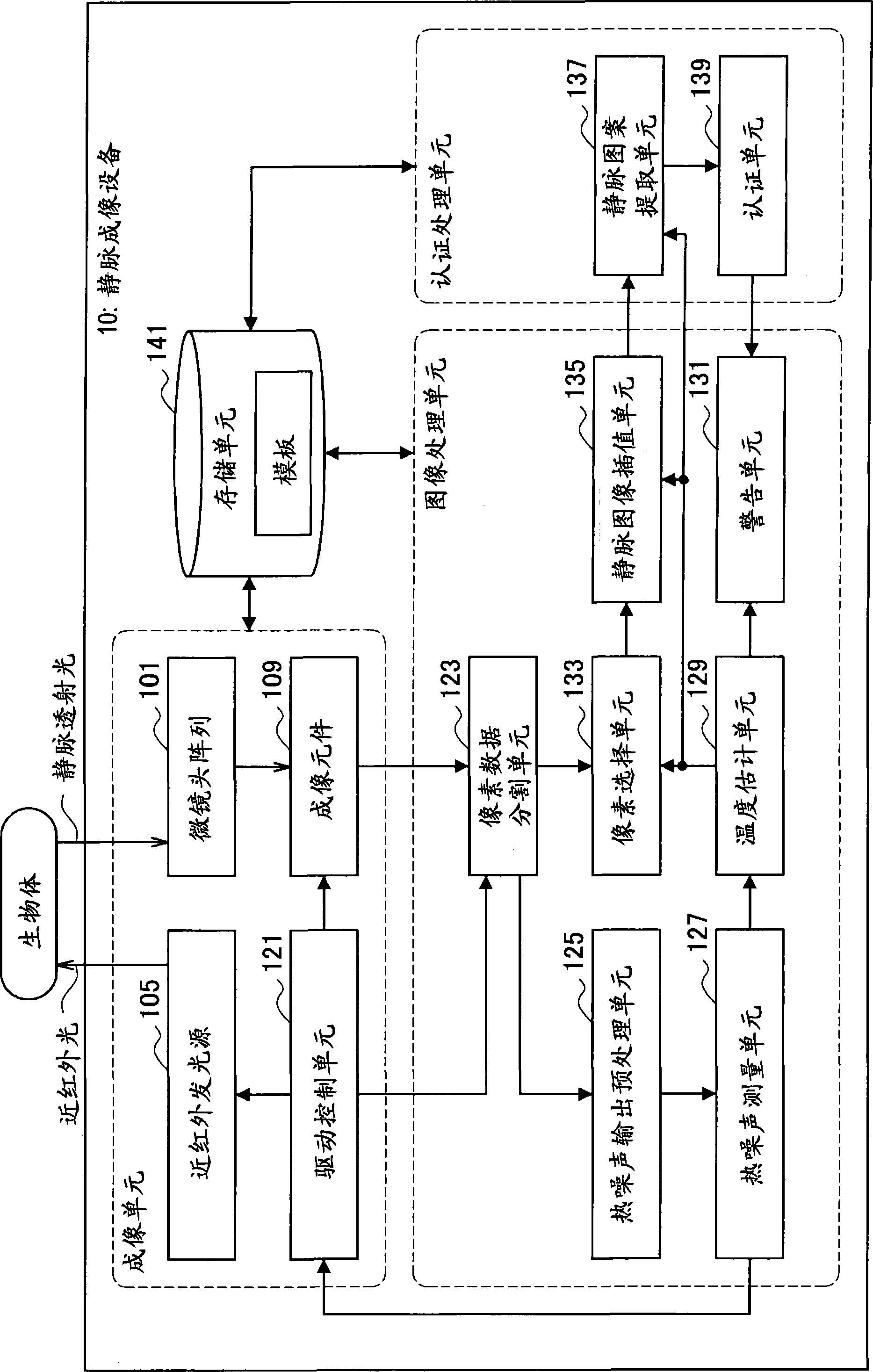 Vein imaging apparatus and vein image interpolation method